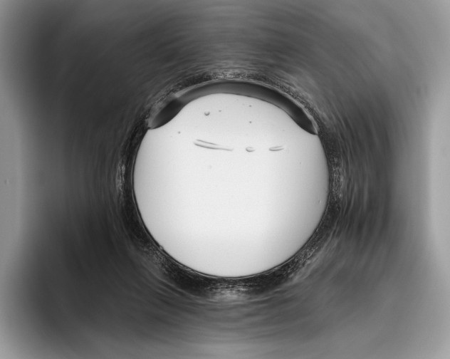 X0000095960263200802081323