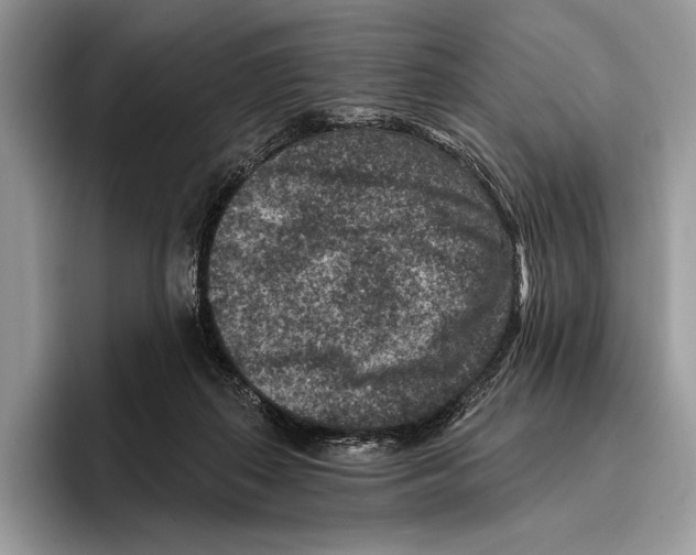 X0000095960267200802081323
