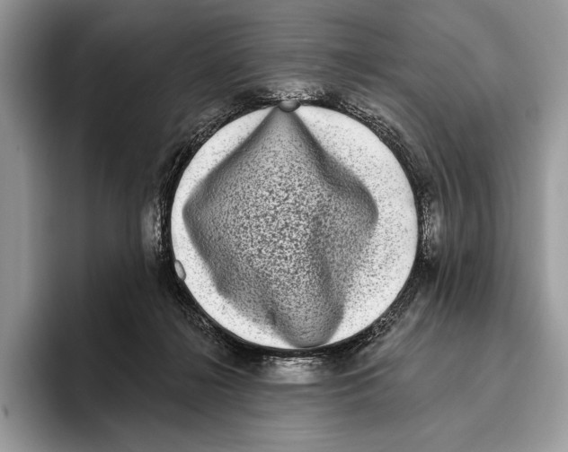 X0000095960268200802081323