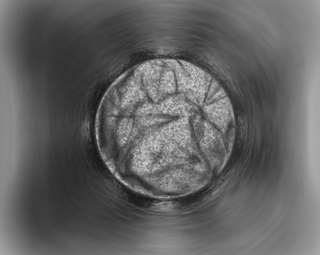X0000095960269200802081323