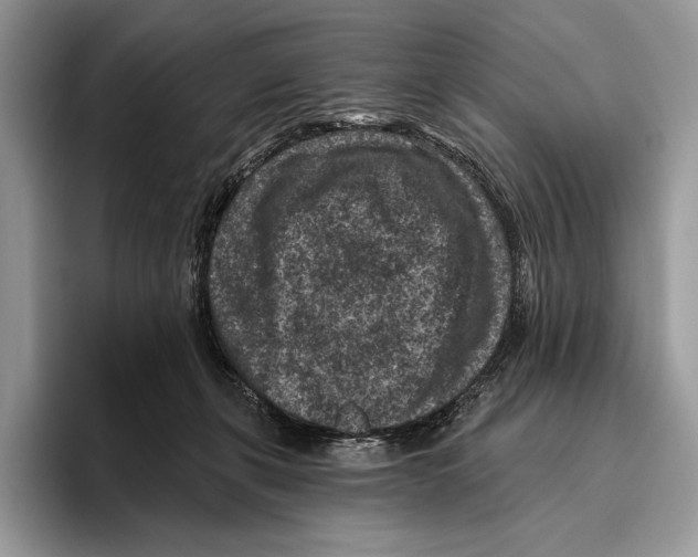 X0000095960271200802081323