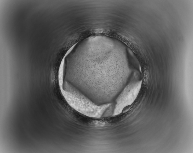 X0000095960272200802081323