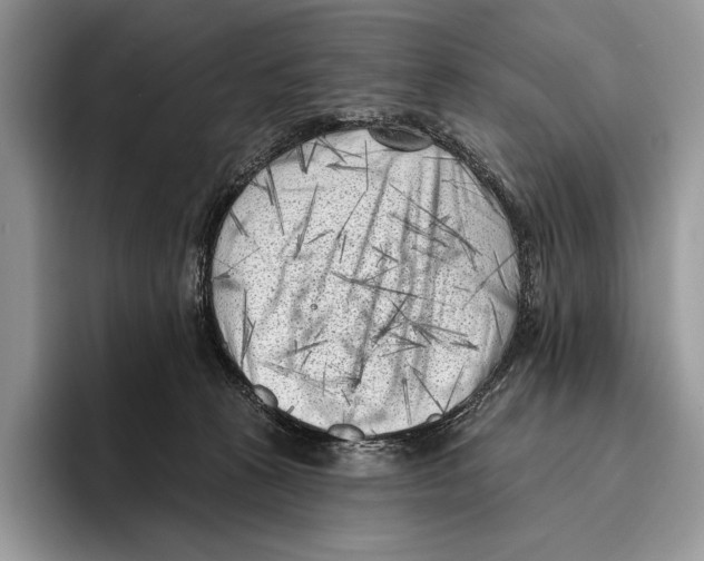 X0000095960273200802081323