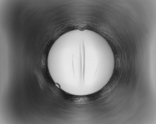 X0000095960274200802081323