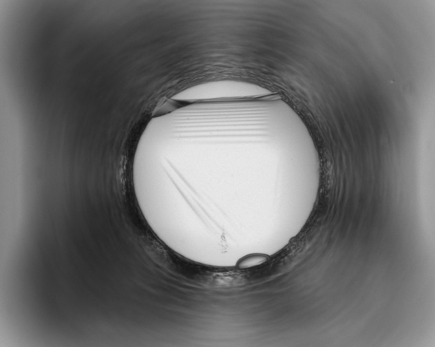 X0000095960275200802081323