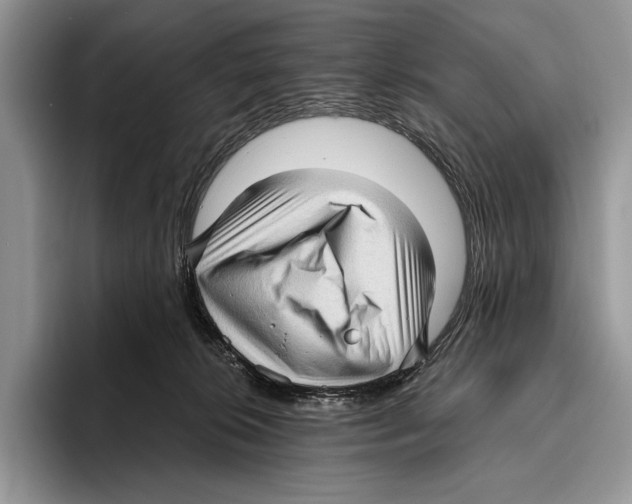 X0000095960276200802081323