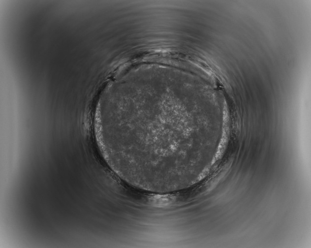X0000095960277200802081323