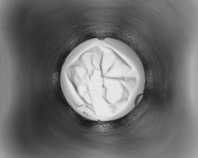 X0000095960278200802081323
