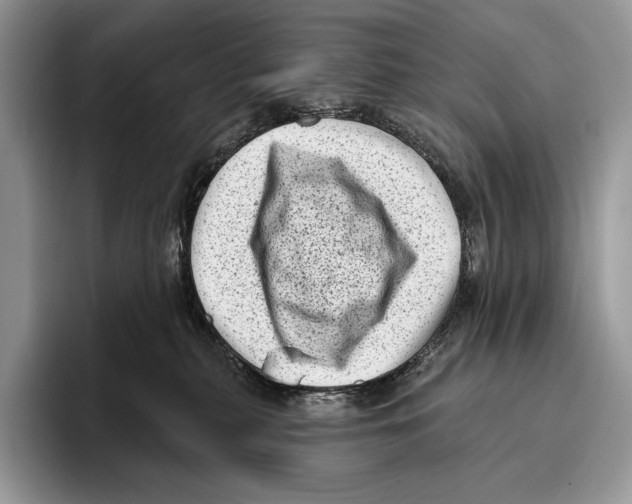 X0000095960279200802081323