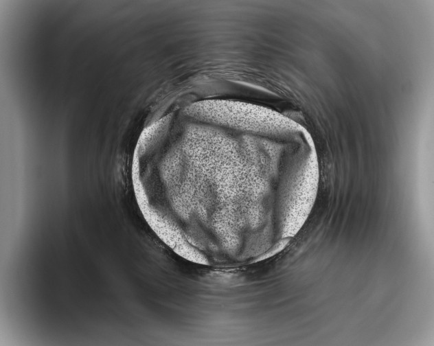 X0000095960280200802081323