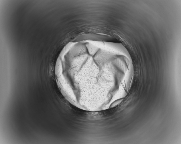 X0000095960281200802081323