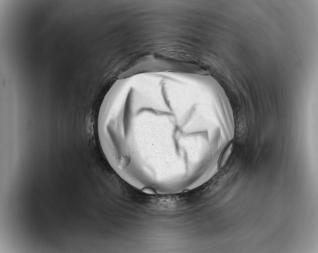 X0000095960282200802081323