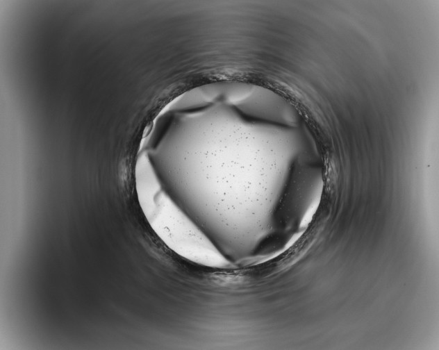 X0000095960284200802081323