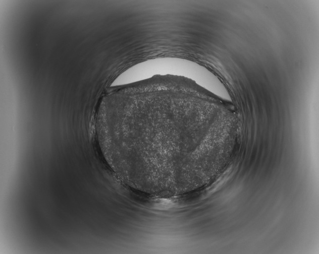 X0000095960285200802081323