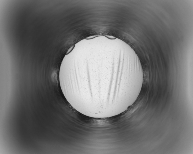 X0000095960286200802081323