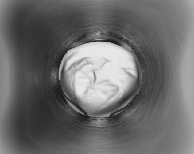X0000095960288200802081324