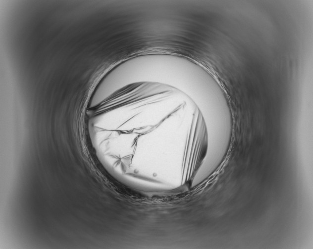 X0000095960289200802081323