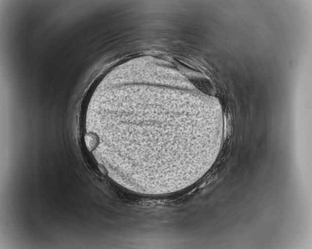 X0000095960291200802081323