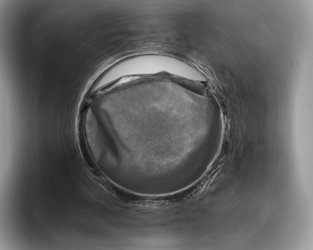 X0000095960292200802081323