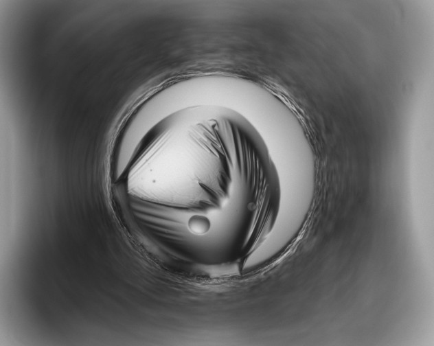 X0000095960293200802081323
