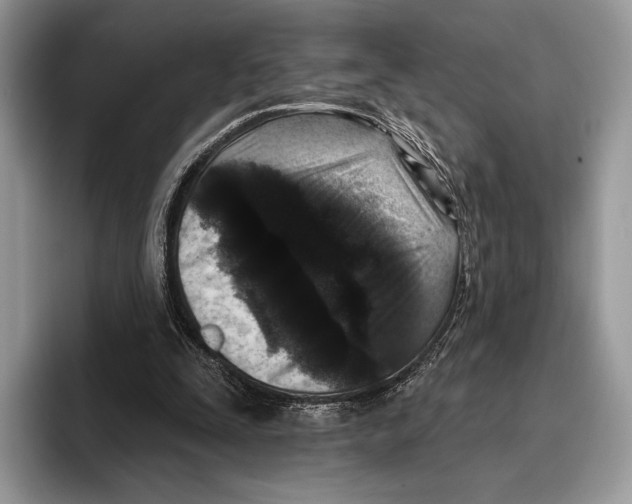 X0000095960295200802081323