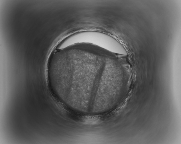 X0000095960296200802081323