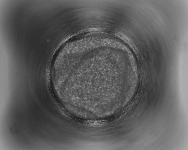 X0000095960297200802081323