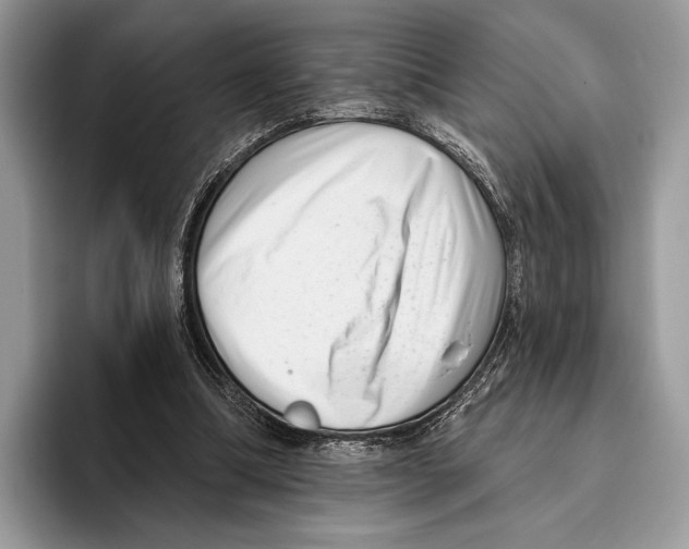 X0000095960298200802081323