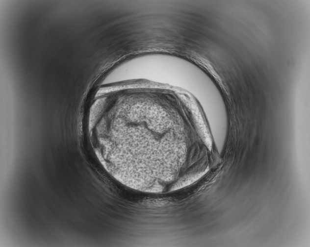 X0000095960299200802081323