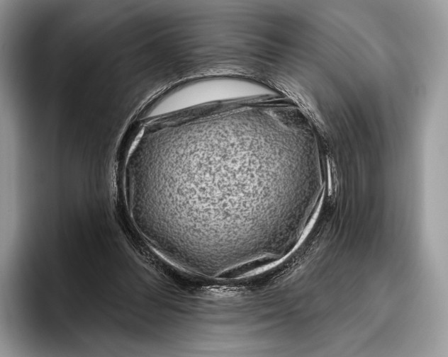 X0000095960300200802081323