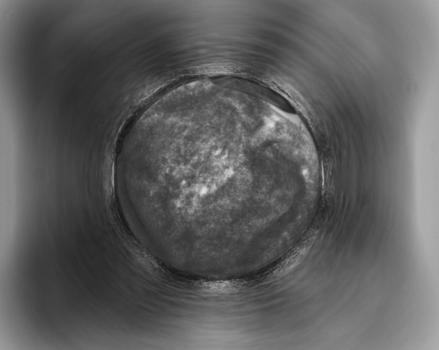 X0000095960301200802081323