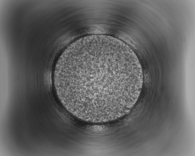 X0000095960302200802081323