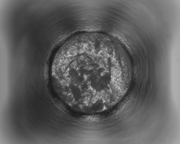 X0000095960303200802081323