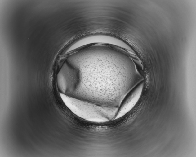 X0000095960304200802081323