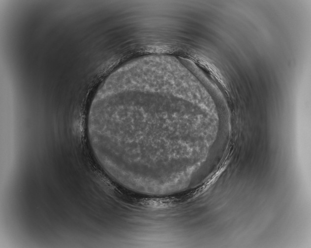 X0000095960305200802081323