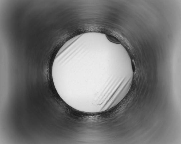 X0000095960306200802081323