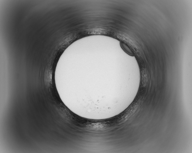 X0000095960310200802081323