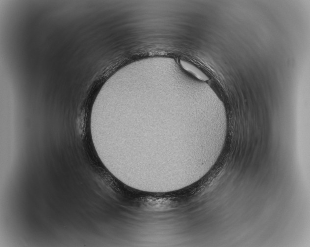 X0000095960311200802081323
