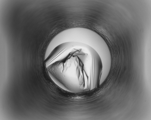 X0000095960312200802081323