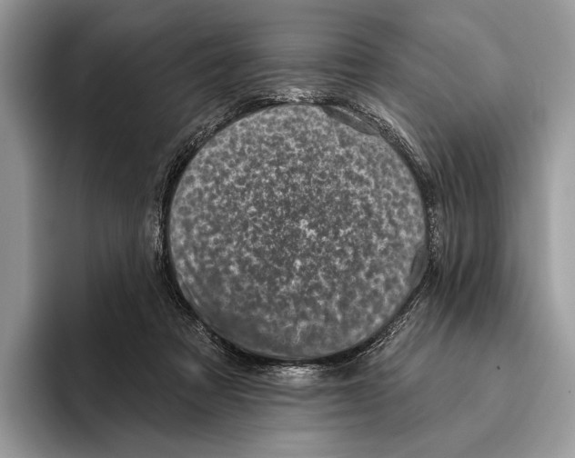 X0000095960313200802081323