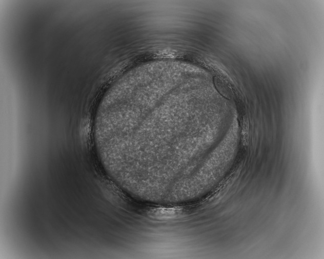 X0000095960314200802081323