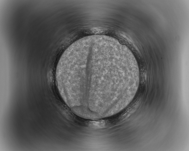 X0000095960317200802081323