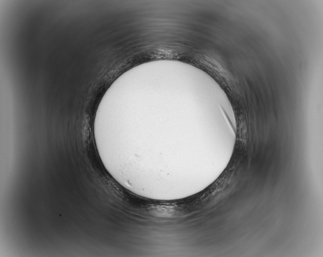 X0000095960318200802081323