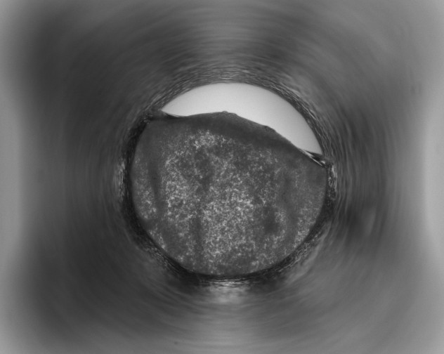 X0000095960319200802081323