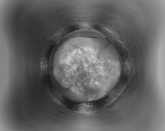 X0000095960320200802081322