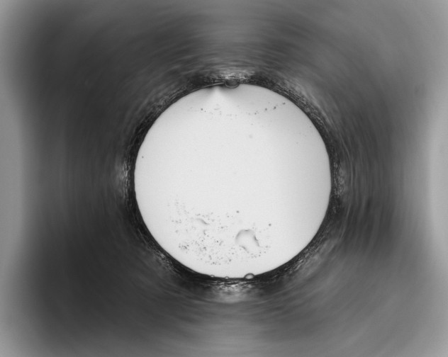 X0000095960321200802081322