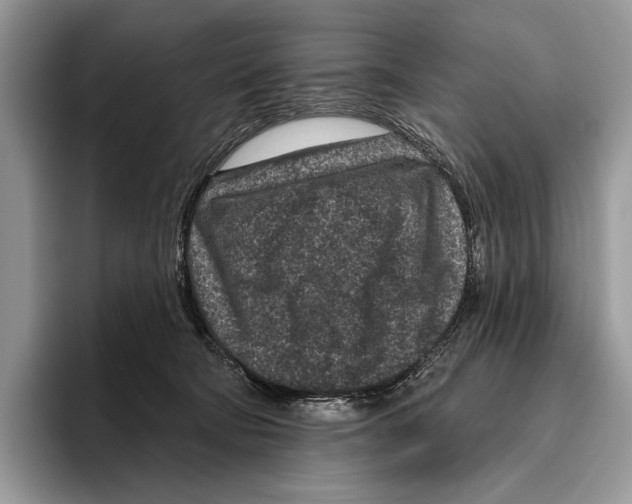 X0000095960322200802081322