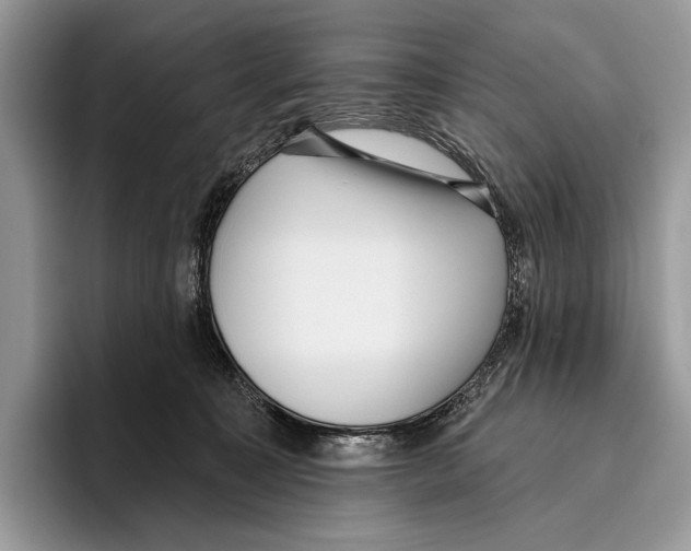 X0000095960323200802081322