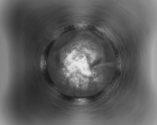 X0000095960324200802081322