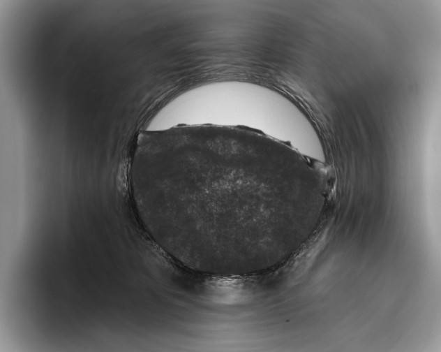 X0000095960325200802081322